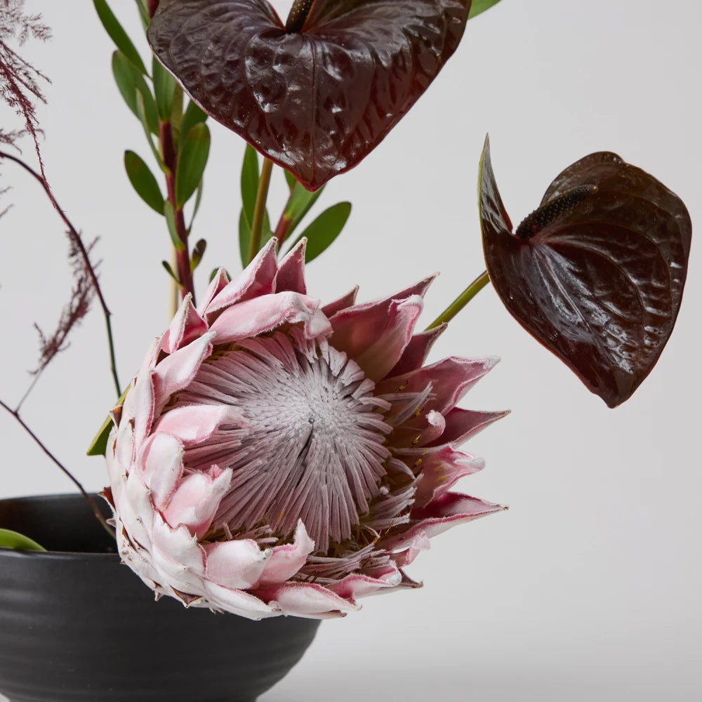 Exotic Cycle DIY Kit: Protea, Anthurium & Calla Lilies