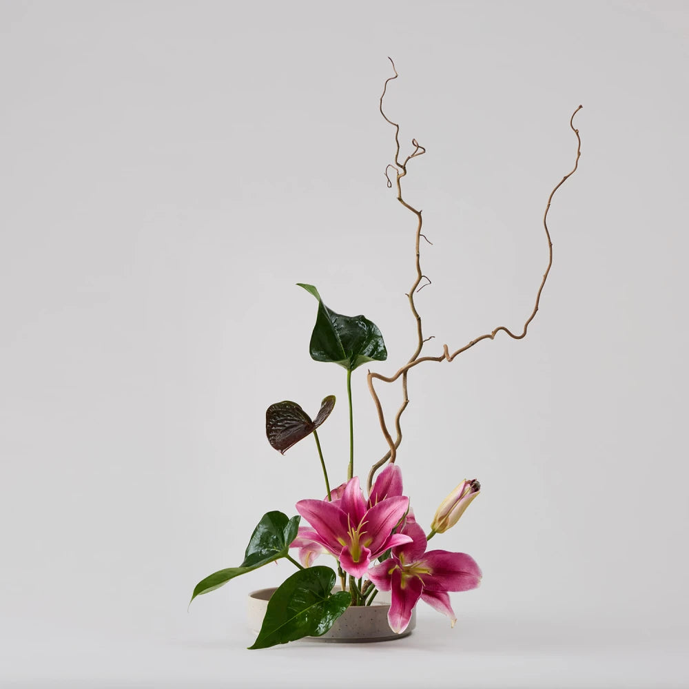 Cycle Kenzan Ikebana: Lily and Anthurium