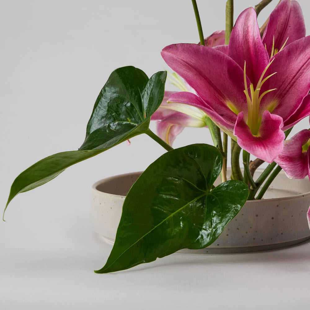 Cycle Kenzan Ikebana: Lily and Anthurium
