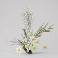 Textural Cycle DIY Kit: Tulips, Genista & Grevillea