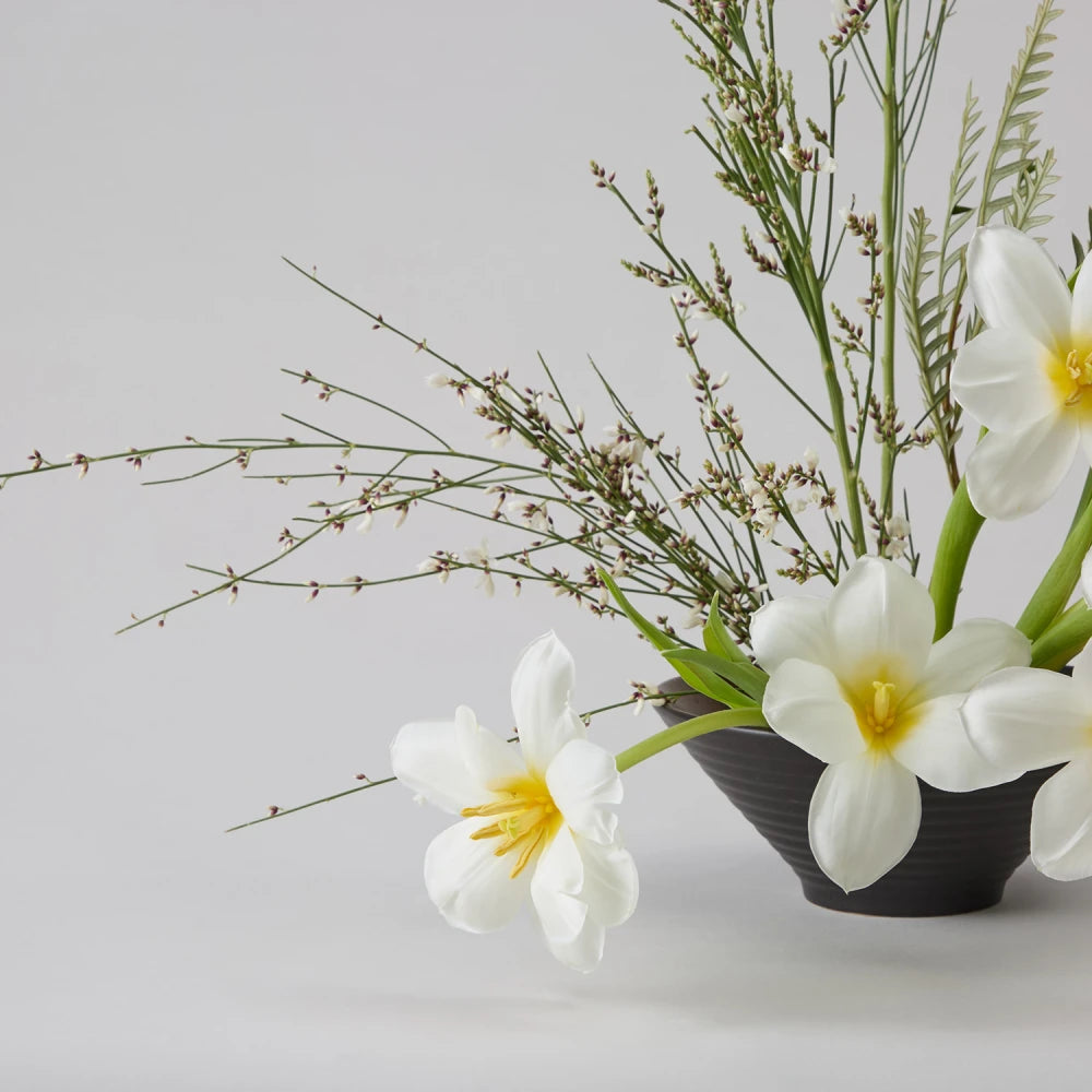 Textural Cycle DIY Kit: Tulips, Genista & Grevillea