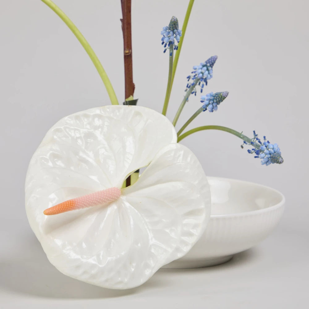 Modern Cycle DIY Kit: Anthurium, Calla Lily & Muscari