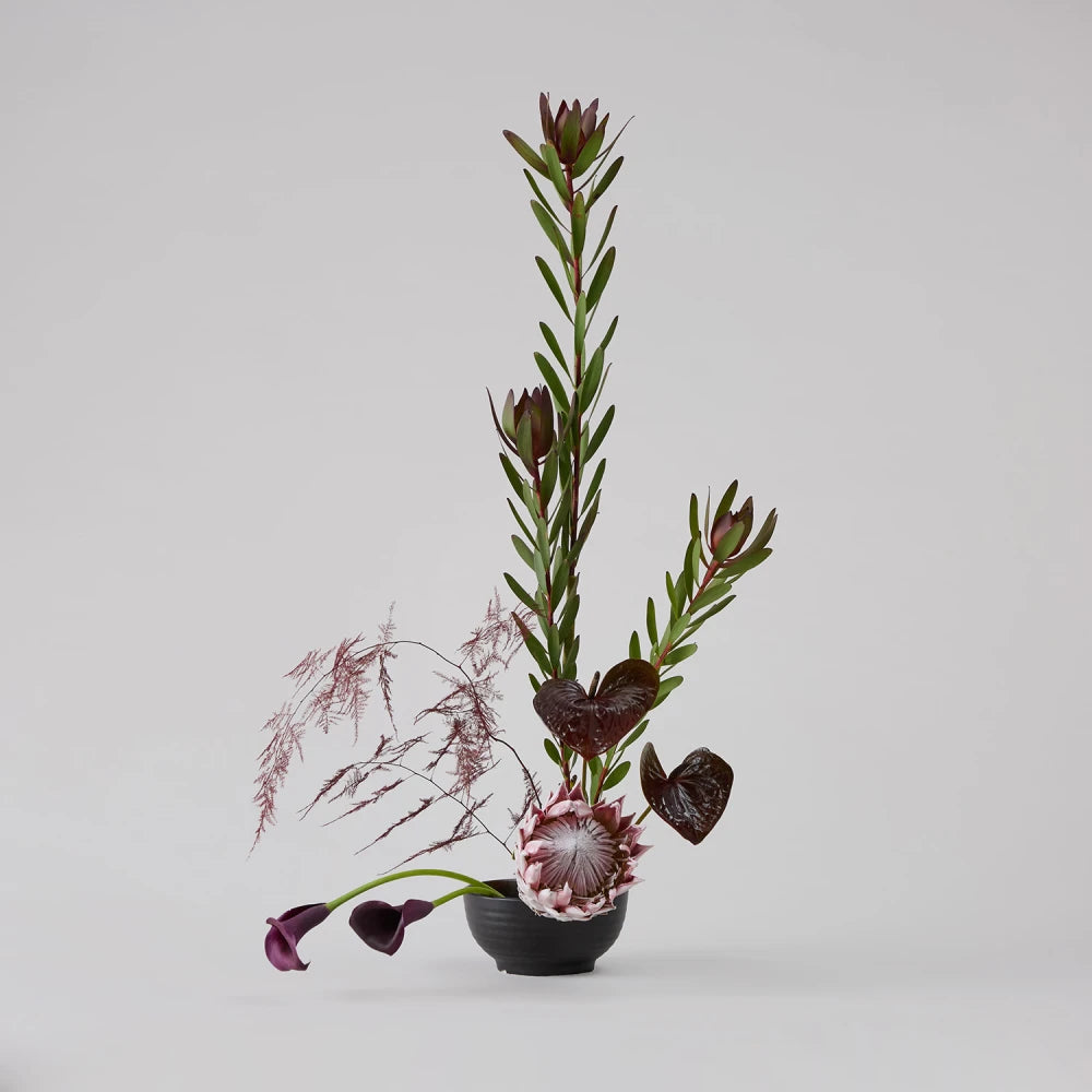 Exotic Cycle DIY Kit: Protea, Anthurium & Calla Lilies