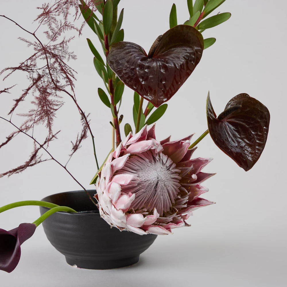 Exotic Cycle DIY Kit: Protea, Anthurium & Calla Lilies