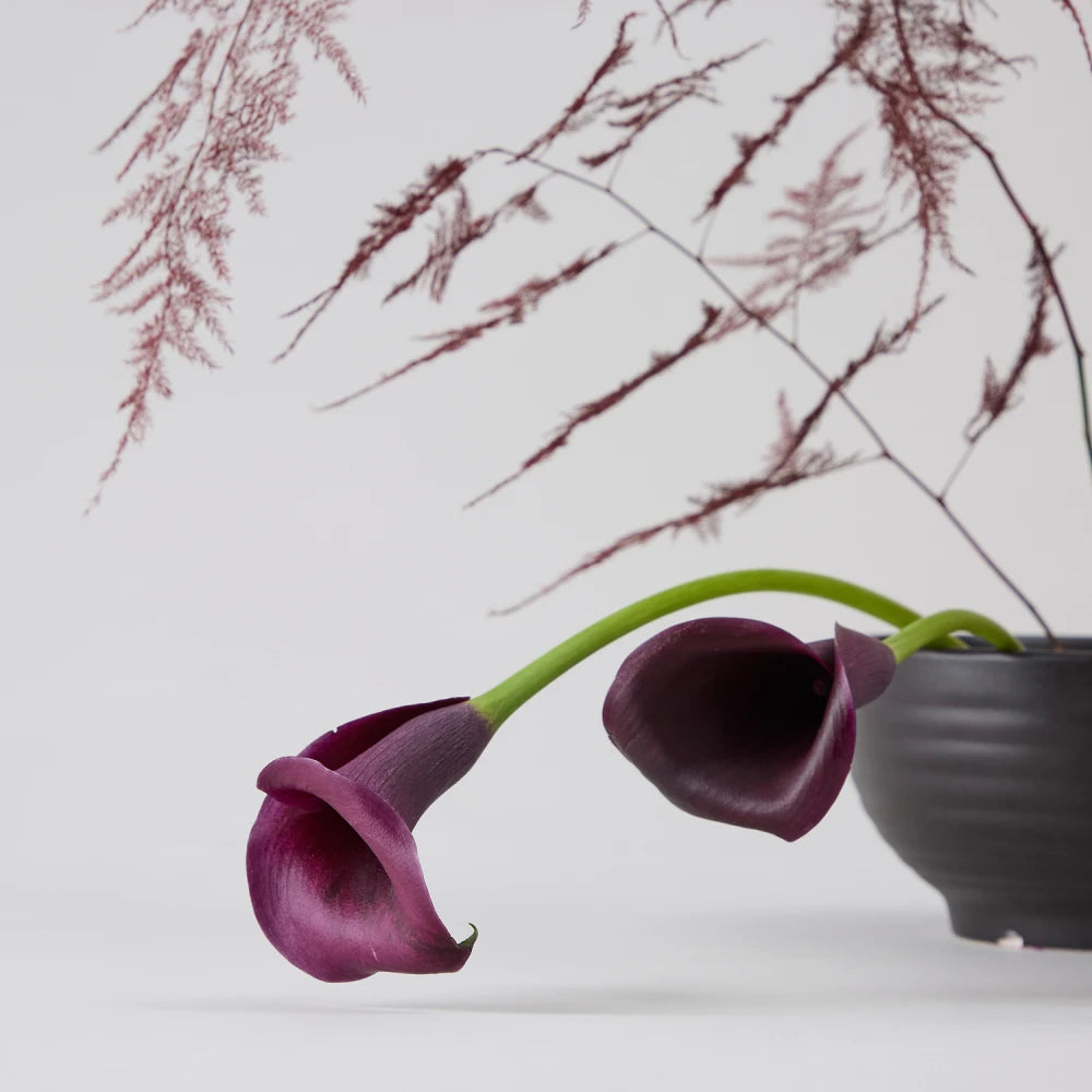 Exotic Cycle DIY Kit: Protea, Anthurium & Calla Lilies