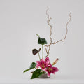 Cycle Kenzan Ikebana: Lily and Anthurium