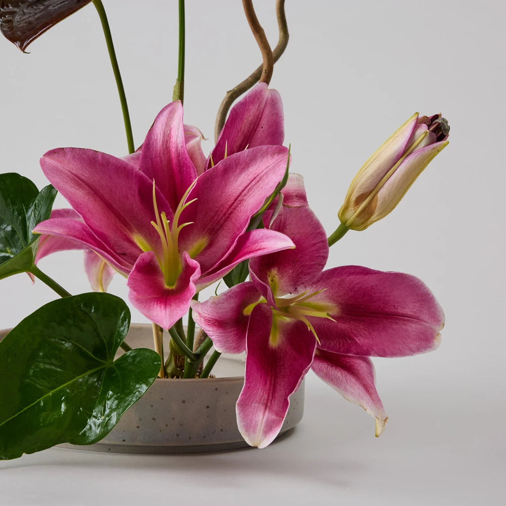 Cycle Kenzan Ikebana: Lily and Anthurium