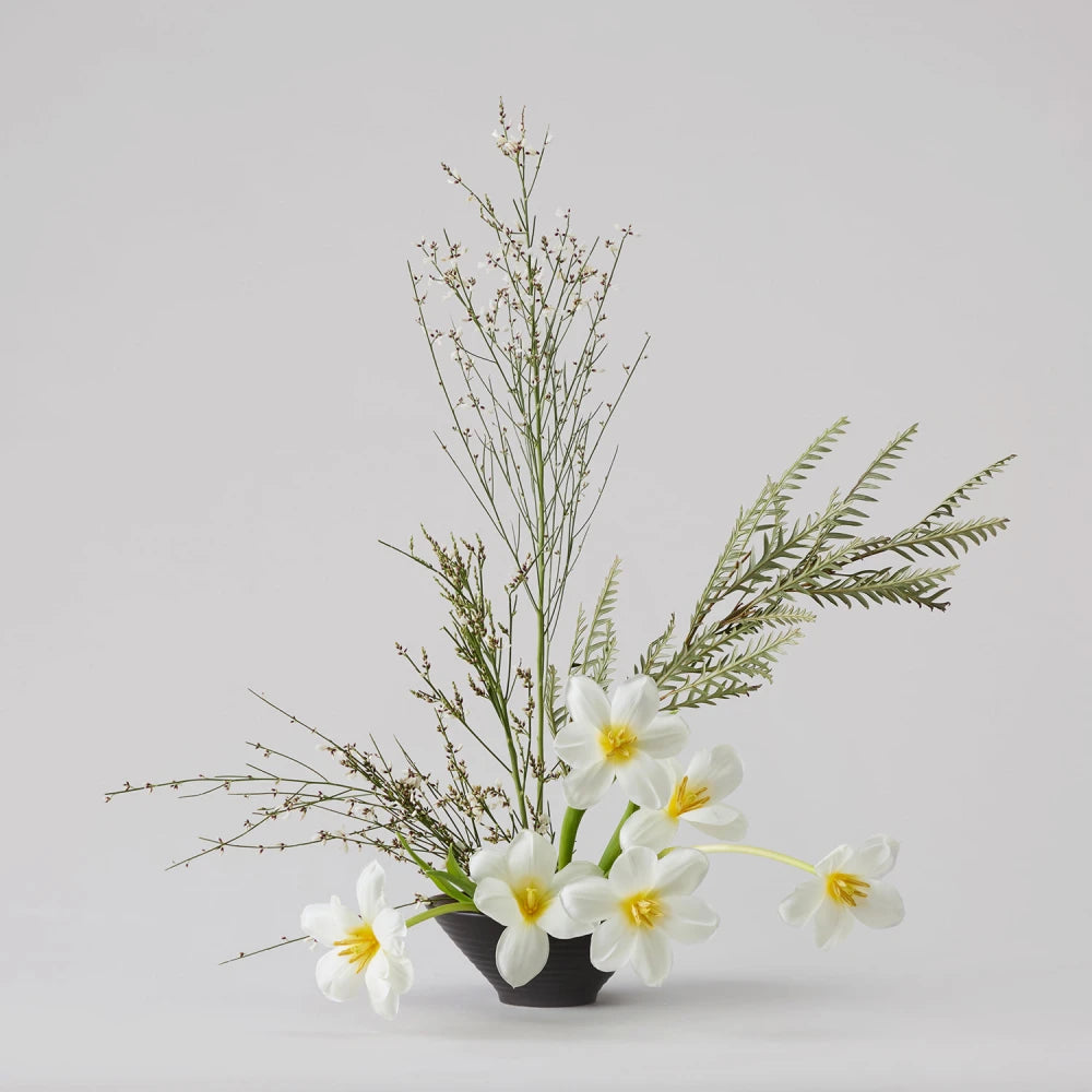 Textural Cycle DIY Kit: Tulips, Genista & Grevillea
