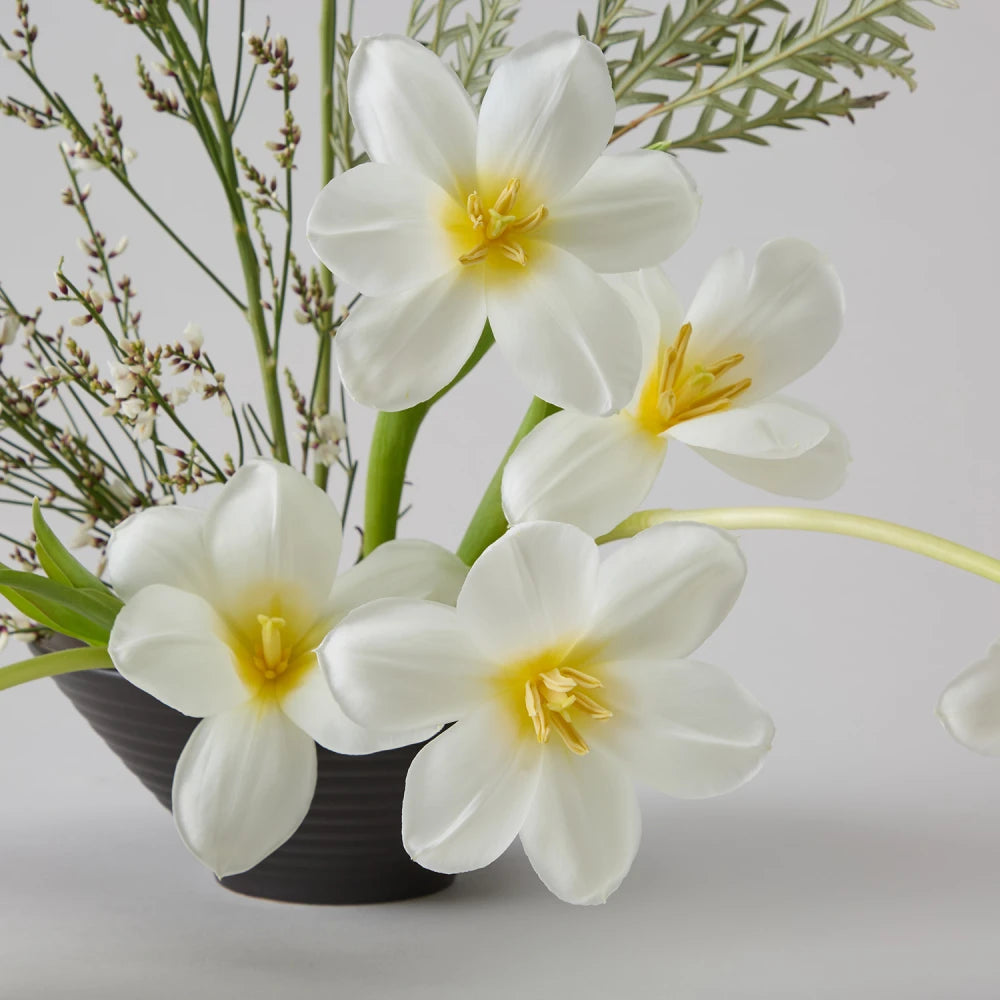 Textural Cycle DIY Kit: Tulips, Genista & Grevillea