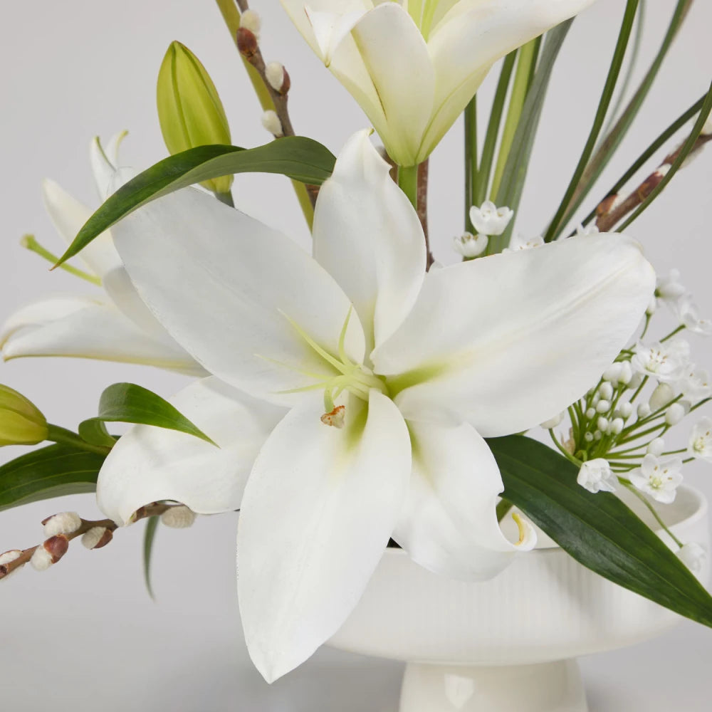Sculptural Cycle DIY Kit: Lily, Anthurium & Pussy Willow