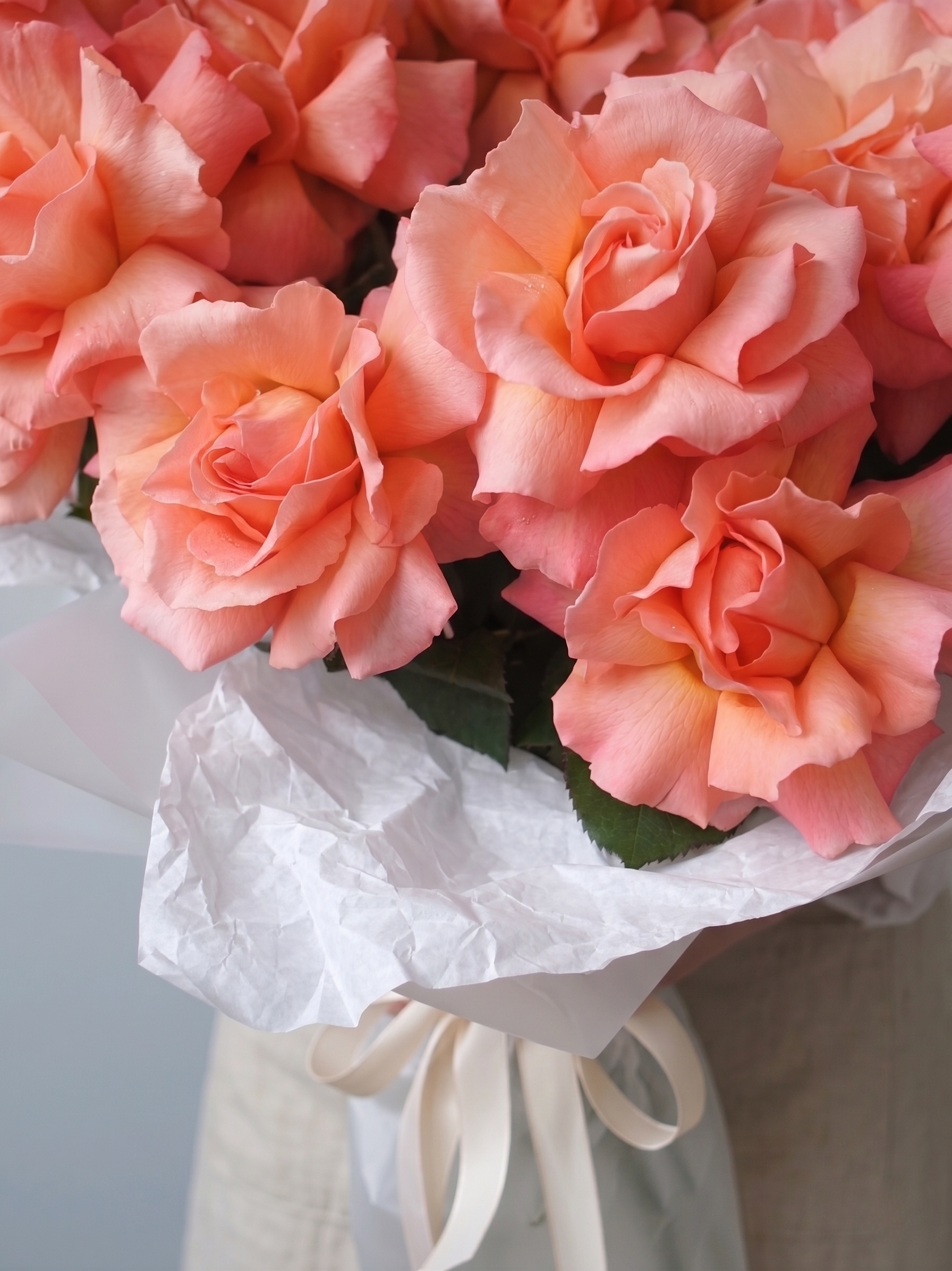 Coral Blush French Rose Signature Bouquet